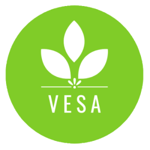 VESA 2.0 är ett innovativt utvecklingsprojekt