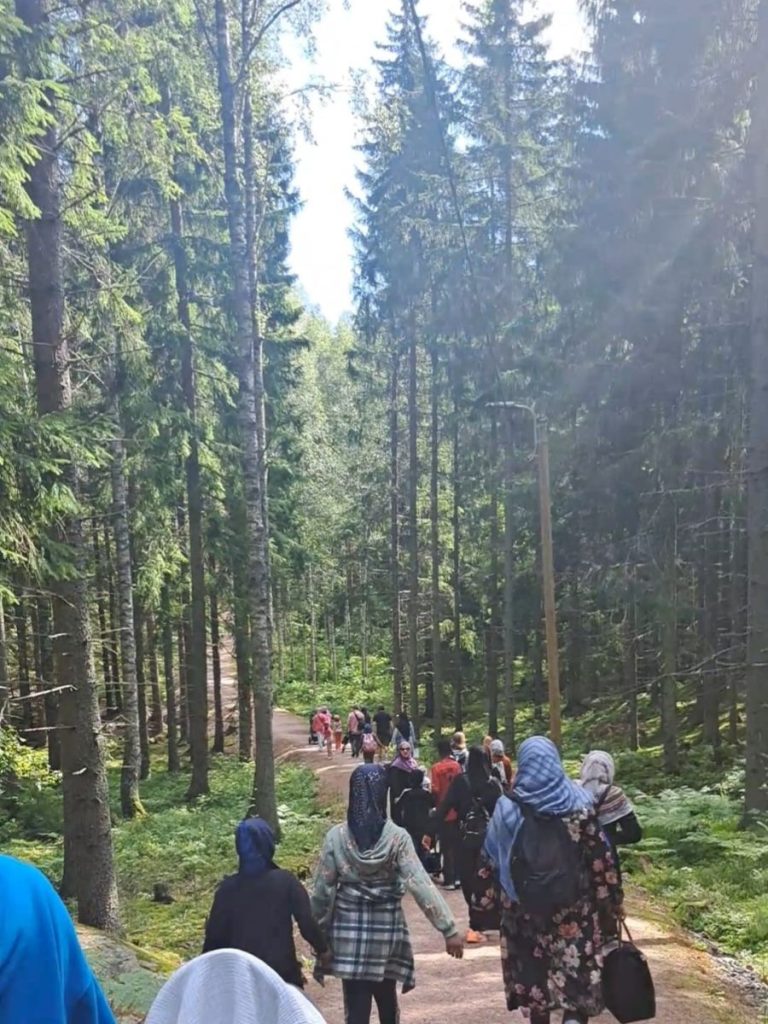 Espoon mokulat metsässä